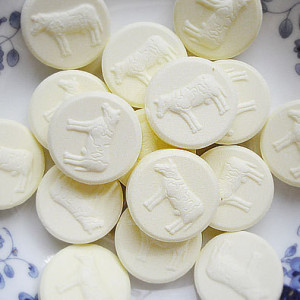 美食电锅广场美食哪些做可以小图片